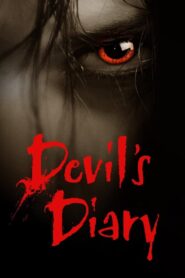 Devil’s Diary – Schreib hinein, es wird so sein