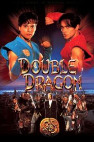 Double Dragon – Die fünfte Dimension