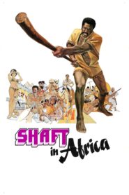 Shaft in Afrika
