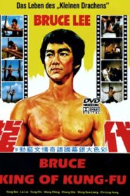 Bruce Lee – King of Kung Fu