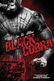 Black Cobra – Schwarze Diamanten