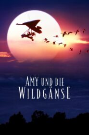 Amy und die Wildgänse