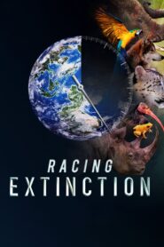 Racing Extinction – Das Ende der Artenvielfalt ?