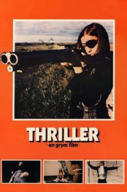 Thriller – Ein unbarmherziger Film