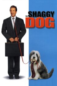 Shaggy Dog – Hör mal, wer da bellt