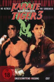 Karate Tiger 3 – Blutsbrüder