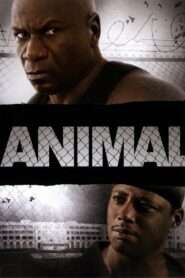 Animal – Gewalt hat einen Namen