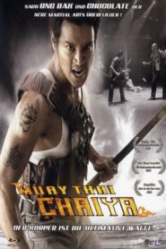 Muay Thai Chaiya – Der Körper ist die ultimative Waffe