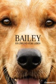 Bailey – Ein Freund fürs Leben